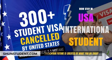 International Students: Staying in the USA