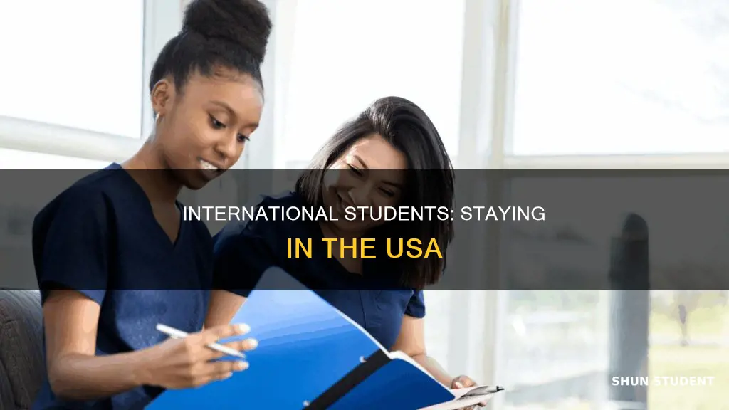 how stay in usa international student