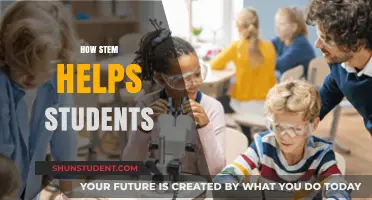 STEM Education: Empowering Students for Future Success and Innovation