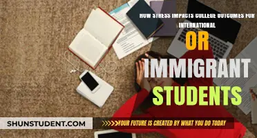 Stress Impacts: College Outcomes for International Students