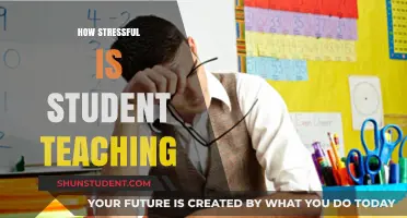 Student Teaching Stress: Navigating Challenges and Finding Balance in the Classroom