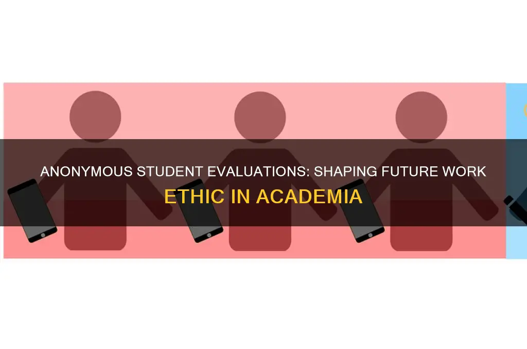 how student anonymous evaluation of teaching impacts future work ethic