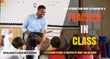 Engage and Excel: Strategies for Students to Capture Teacher Attention
