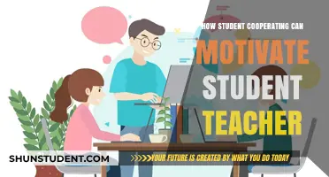 Student Cooperation: A Powerful Motivator for Teachers in the Classroom