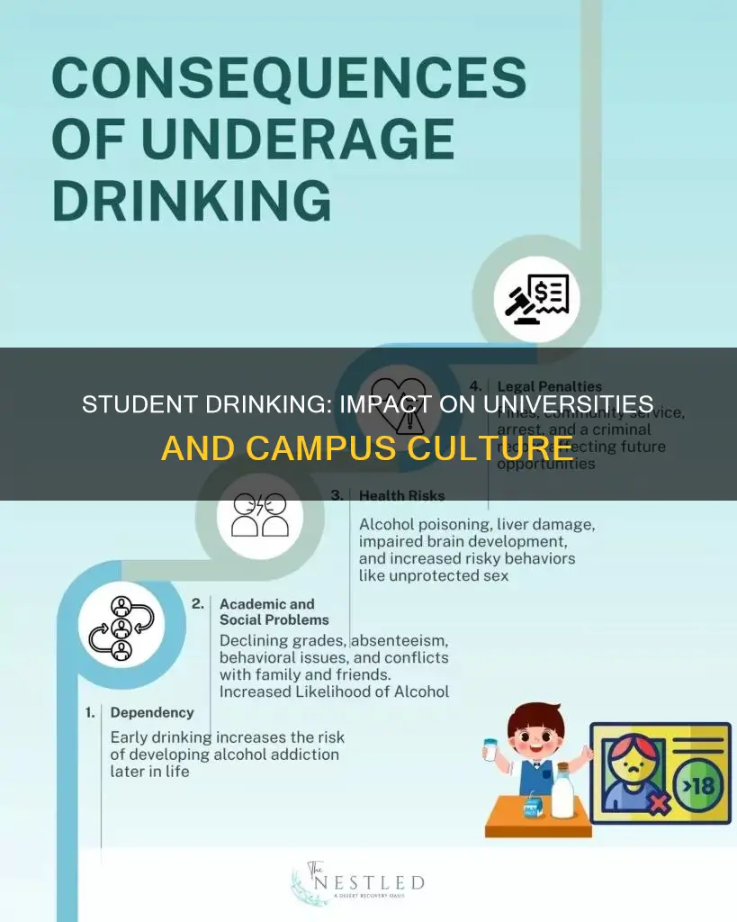 how student drinking affects universities