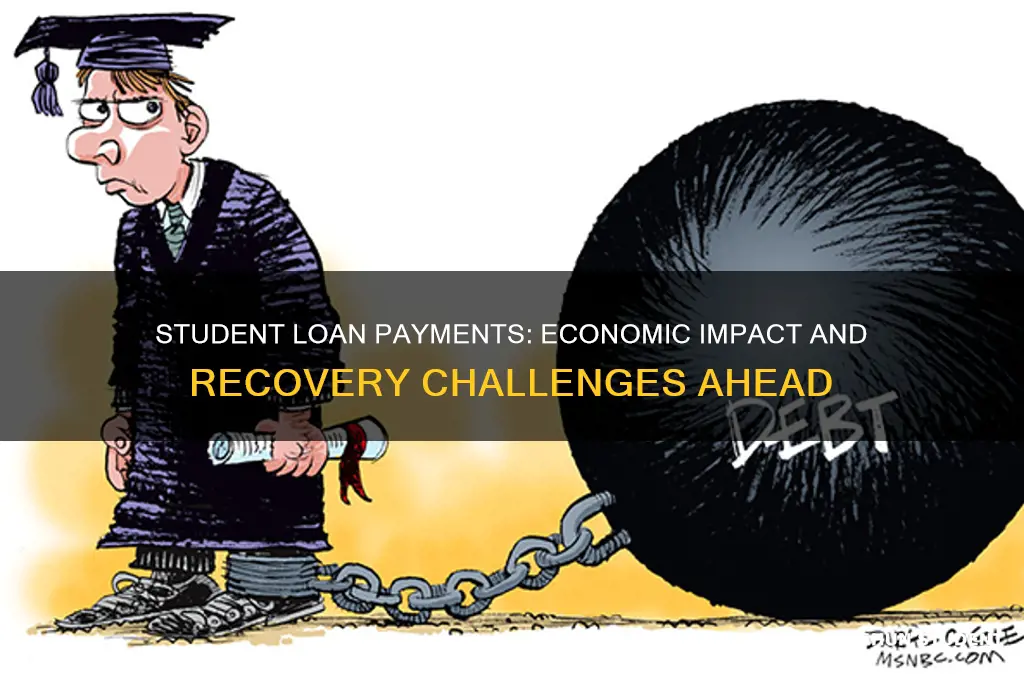 how student loan payments will affect the economy