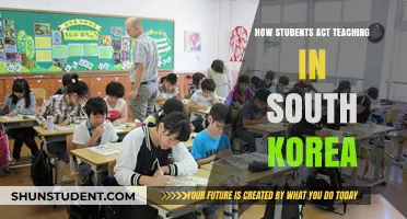 South Korea's Student-Teachers: Shaping Education Through Unique Classroom Roles