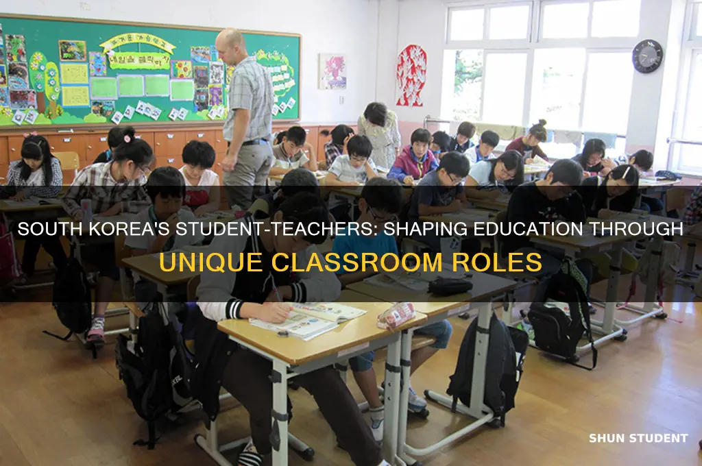 how students act teaching in south korea