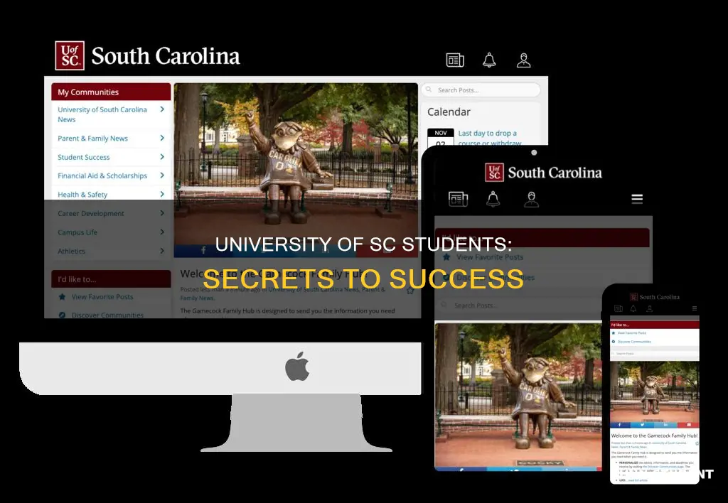 how students at university of sc