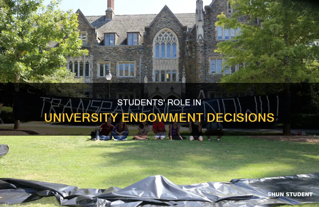 how students can be part make change in university endowment