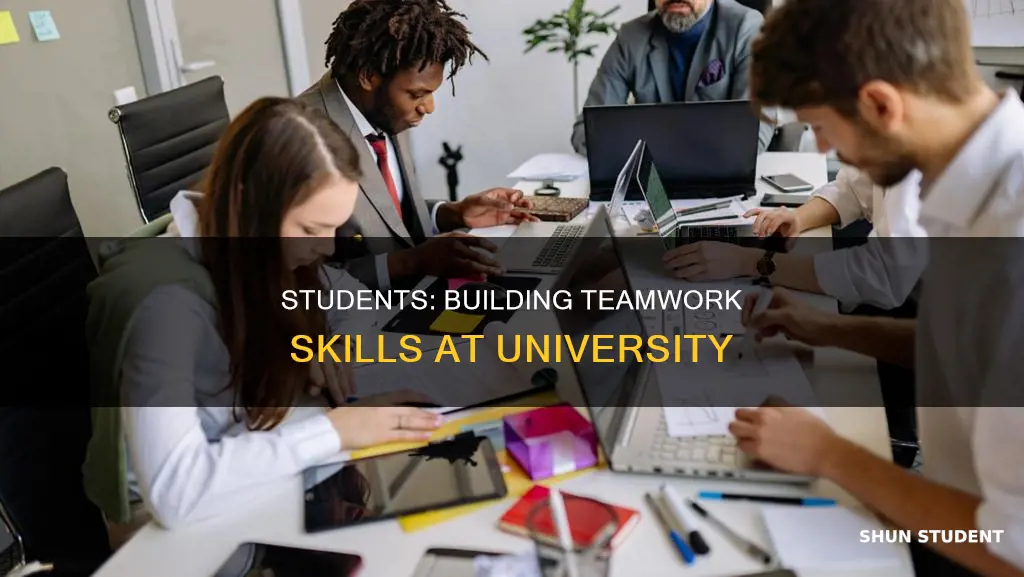 how students can develop teamwork skills at university