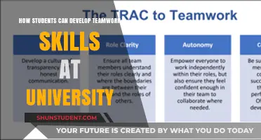 Developing Teamwork Skills: University Students' Guide