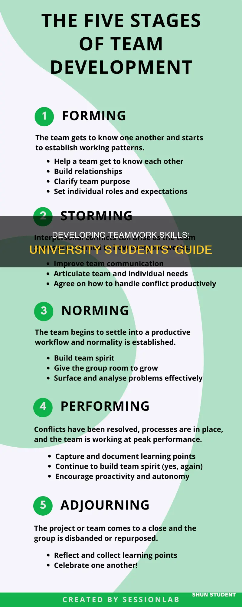how students can develop teamwork skills at university