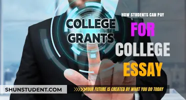 Essays for Sale: Paying for College Papers