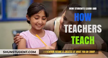 Bridging the Gap: Understanding Student Learning and Effective Teaching Strategies