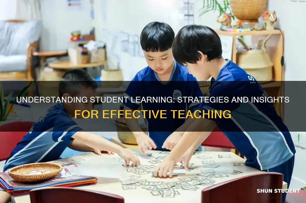 how students learn and the implications for teaching