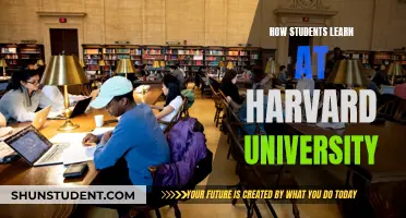 Strategies for Success: Learning at Harvard University