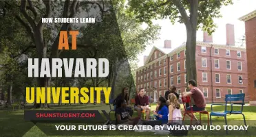 Strategies for Success: Learning at Harvard University