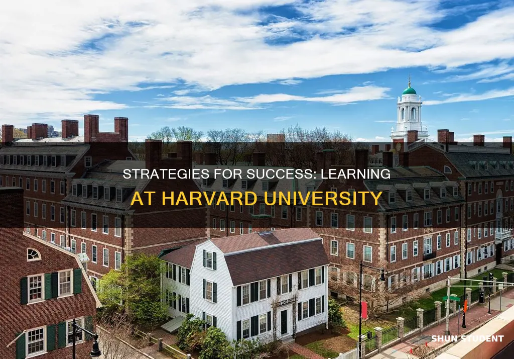 how students learn at harvard university