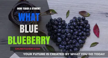 Teaching Students About Blueberries: Color, Taste, and Fun Facts