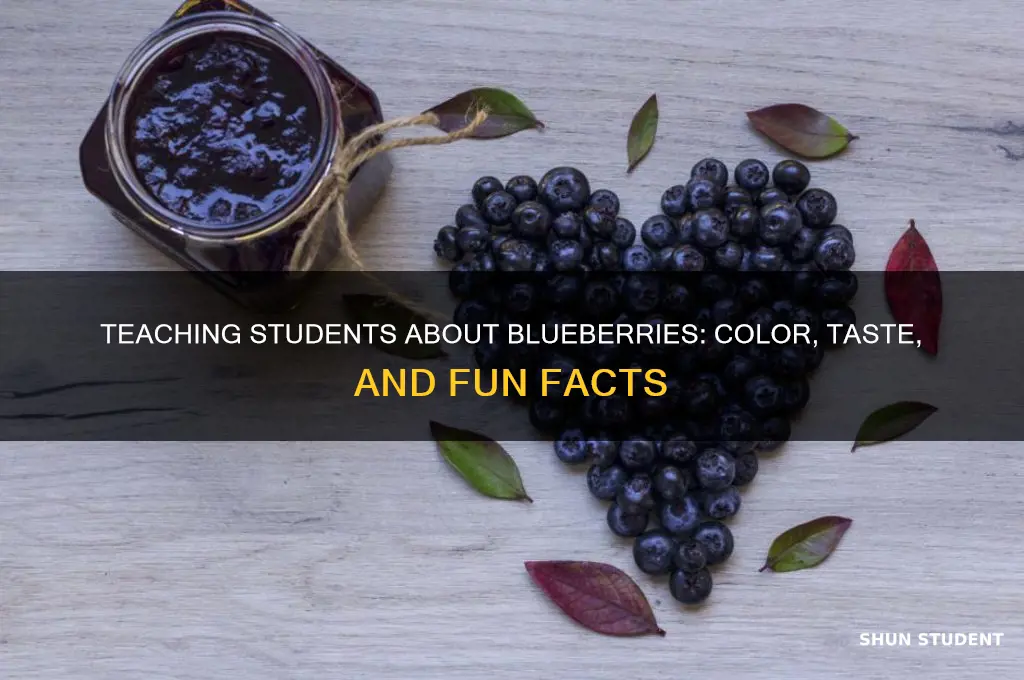 how teach a student what blue blueberry
