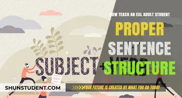 Mastering English: Teaching Adult ESL Students Proper Sentence Structure