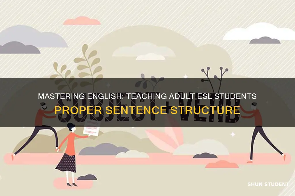 how teach an esl adult student proper sentence structure
