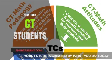 Effective Strategies for Teaching Computational Thinking to Students