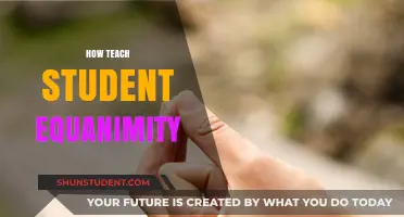 Teaching Equanimity: Strategies for Cultivating Student Balance and Resilience