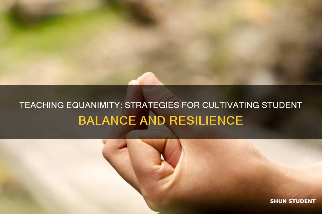 how teach student equanimity