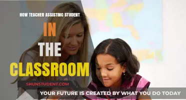 Empowering Learning: Effective Teacher Assistance Strategies in the Classroom