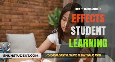 Teacher Attitudes: Shaping Student Learning Outcomes and Classroom Dynamics