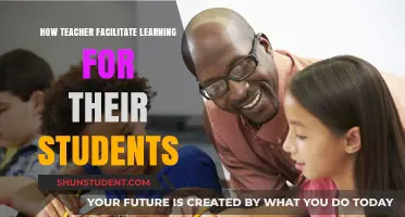 Empowering Minds: Strategies Teachers Use to Facilitate Student Learning