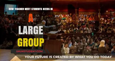 Strategies for Teachers to Meet Diverse Student Needs in Large Groups