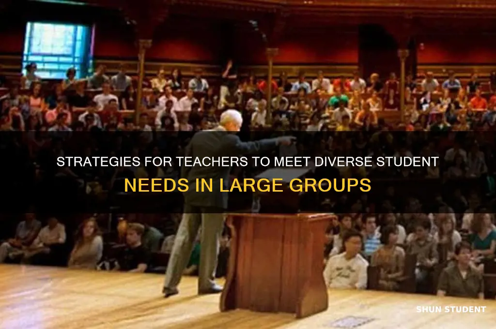 how teacher meet students needs in a large group