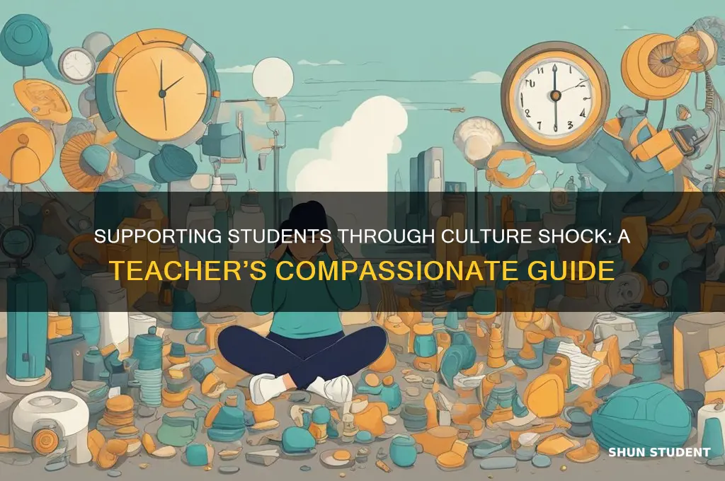 how teacher should act with student with culture shock