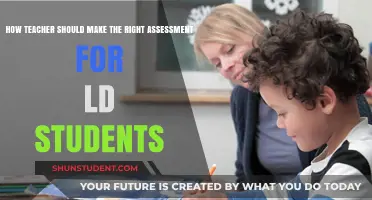 Effective Assessment Strategies for Teachers Supporting LD Students