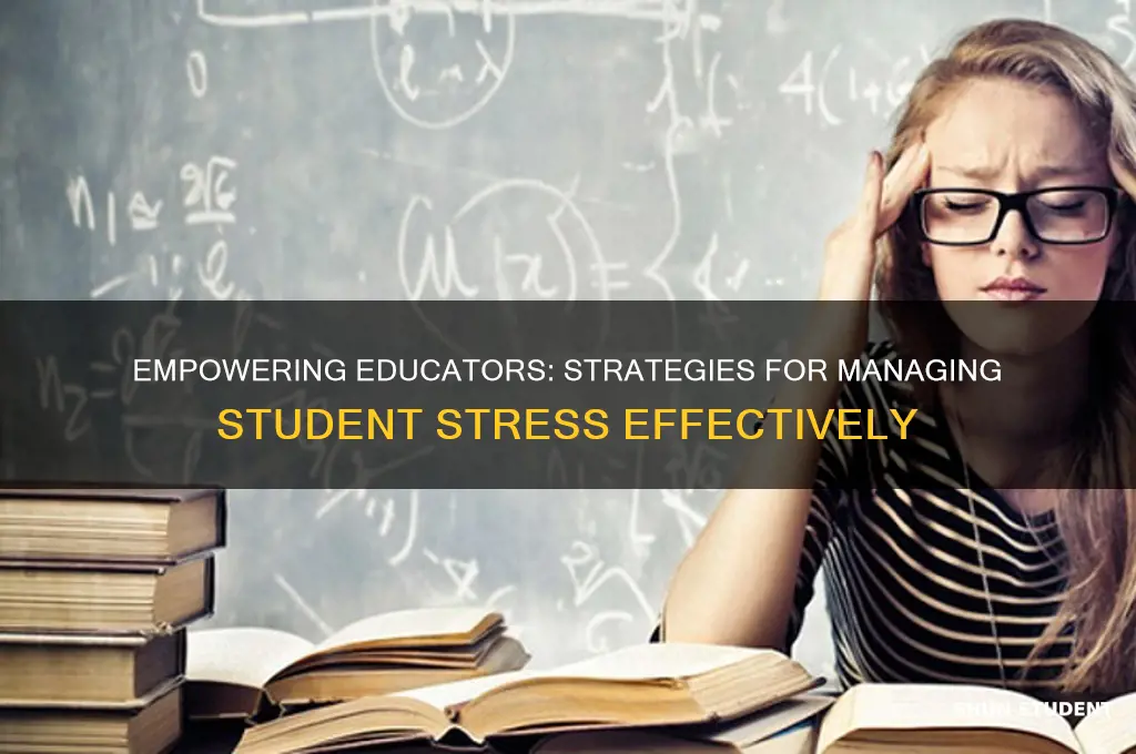 how teacher should manage student stress