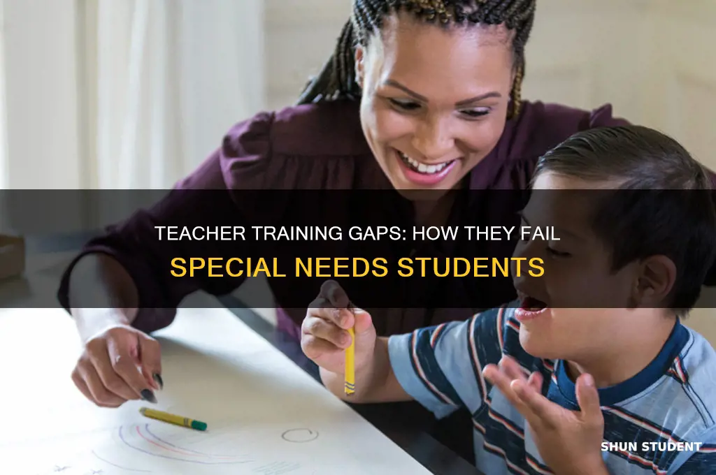 how teacher traimng hinders special needs students