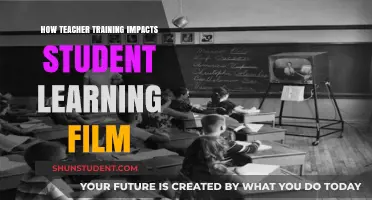 Teacher Training's Role in Shaping Student Learning Through Film