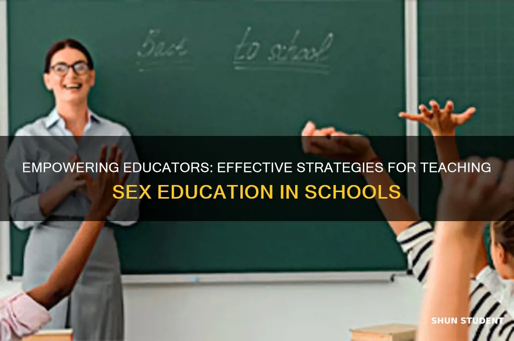 how teachers should teach sex to students essay