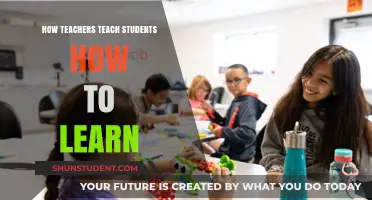 Empowering Learners: Strategies Teachers Use to Foster Student Learning