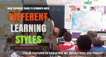 Tailoring Teaching Methods for Diverse Student Learning Styles