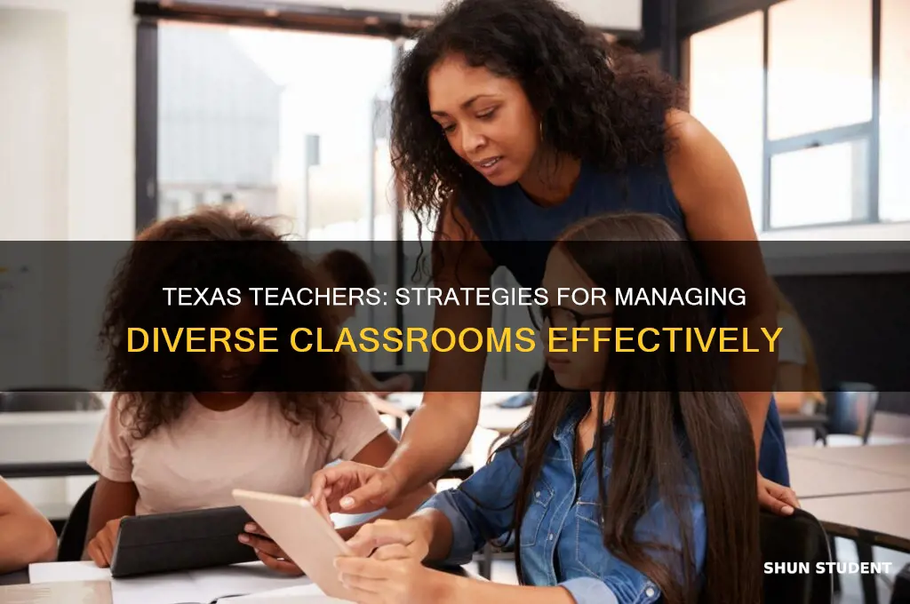 how texas teacher handle classroom of diverse back ground students