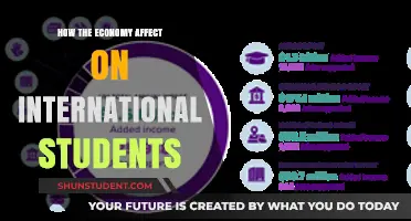 The Economy's Impact on International Students' Dreams