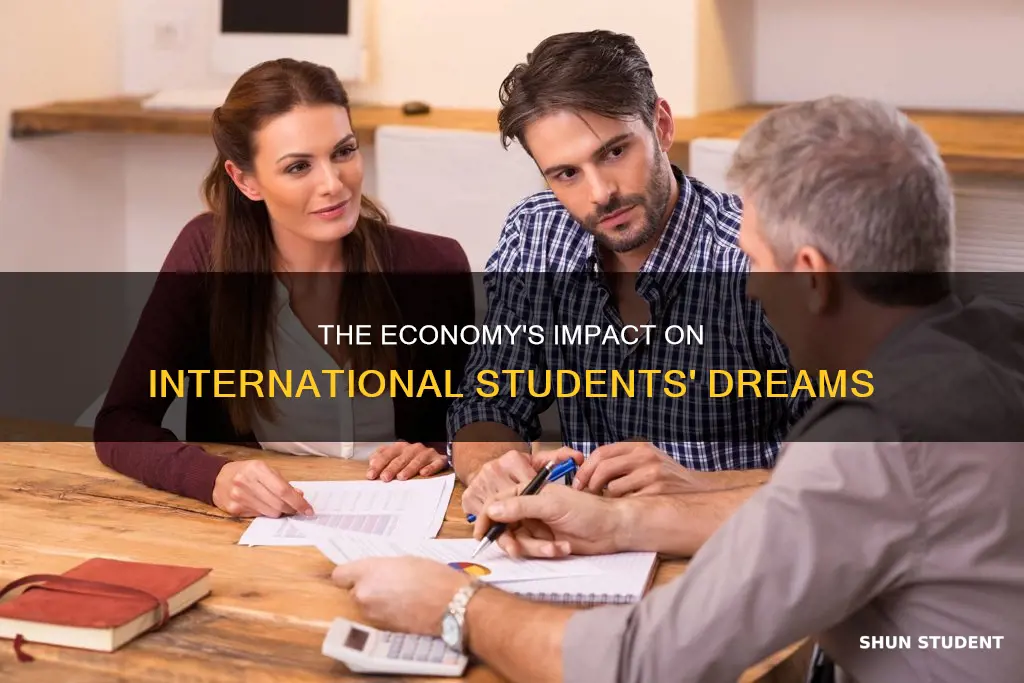 how the economy affect on international students