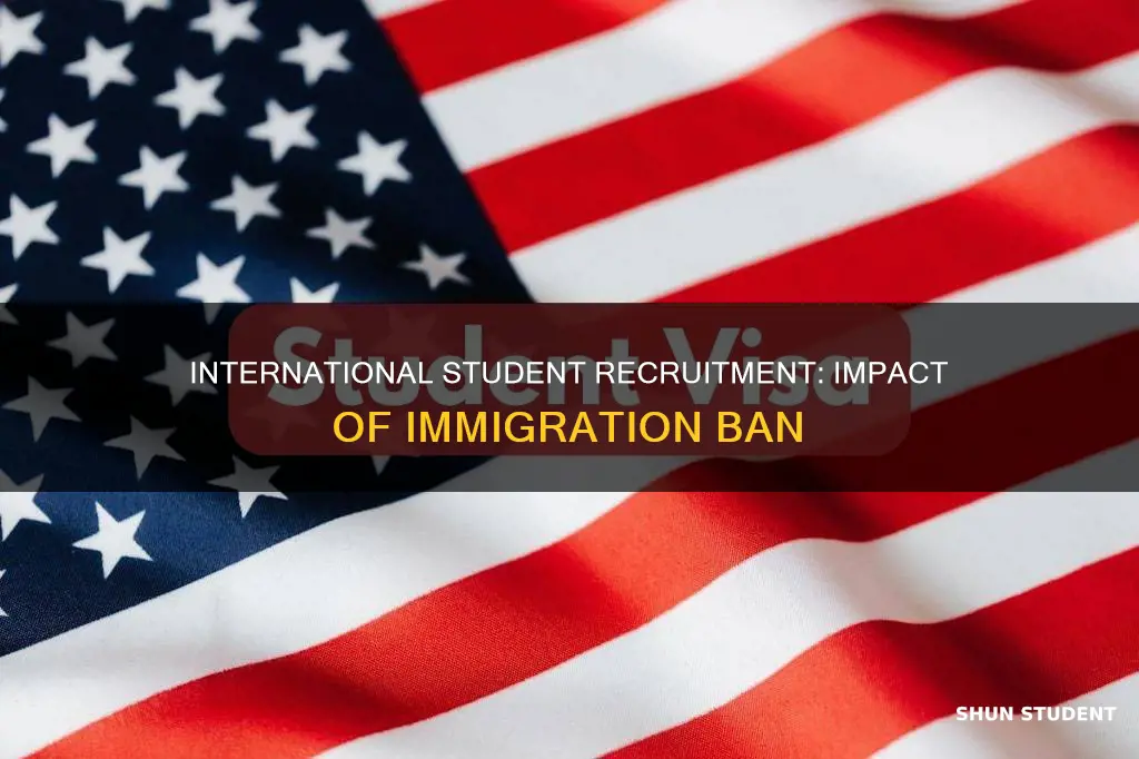 how the immigration ban hurts international student recruitment