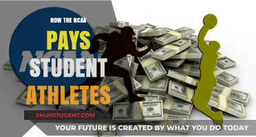 Student Athletes: NCAA's Payment and Compensation