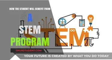STEM Programs: Unlocking Student Potential for Future Success and Innovation