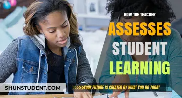 Effective Strategies Teachers Use to Assess Student Learning Outcomes